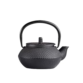 鉄器 急須 伝統工芸 手作り 鉄分補給 鉄瓶　JMHB053 鉄器 急須 伝統工芸 手作り 鉄分補給 鉄瓶 鉄器 急須 伝統工芸
